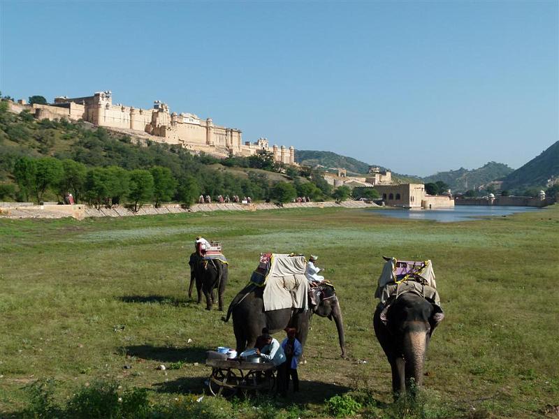 Rajasthan 2011-09-29 08-43-58 (P1060244) (Large).JPG